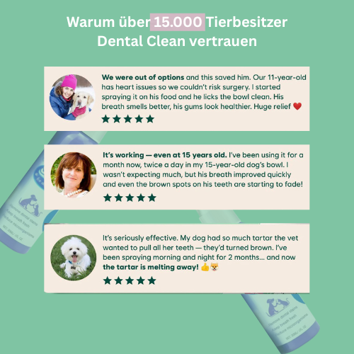 DENTACLEAN® -Für Hund und Katze